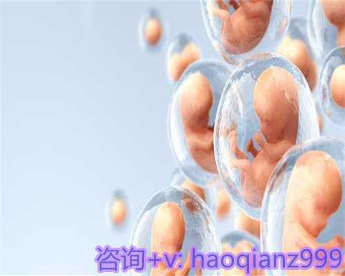 成都借卵代怀与试管供卵成功指南