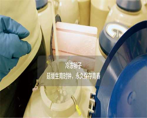 北京助孕价格,量身定制代怀生子方案