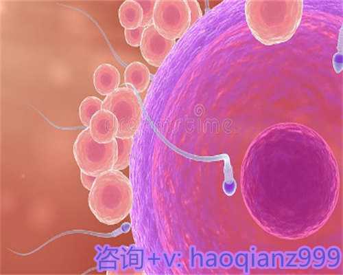 上班族备孕期间八大注意事项：改善习惯提升生育力