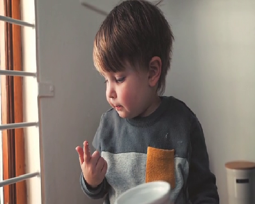 2026年三门峡供卵试管医院指南及本地助孕机构地址汇总