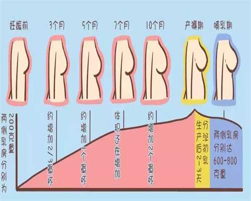 借卵供卵助孕生子成本解析