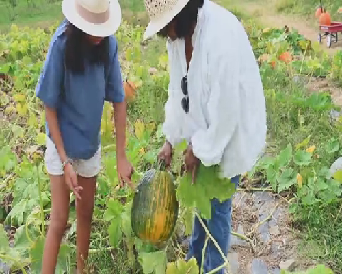 青岛助孕产检费生育报销指南与代生代怀服务解析