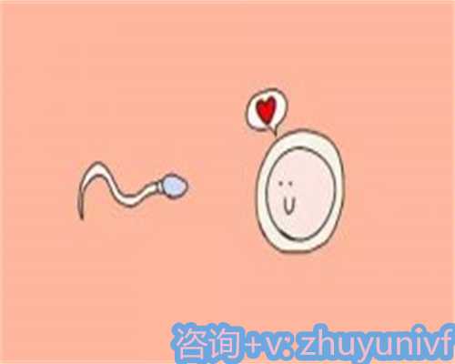 北京供卵助孕中心优质代怀服务助家庭圆梦