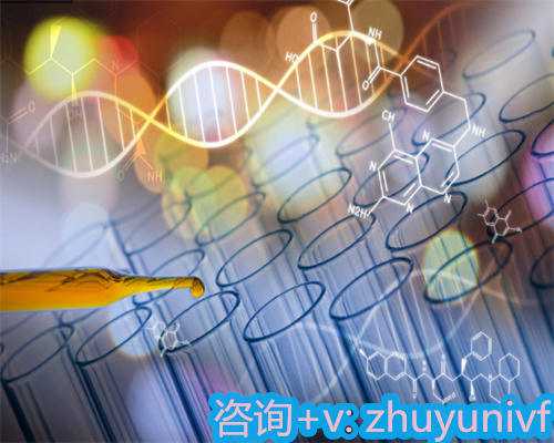 深圳正规供卵试管费用解析，助您构建幸福家庭